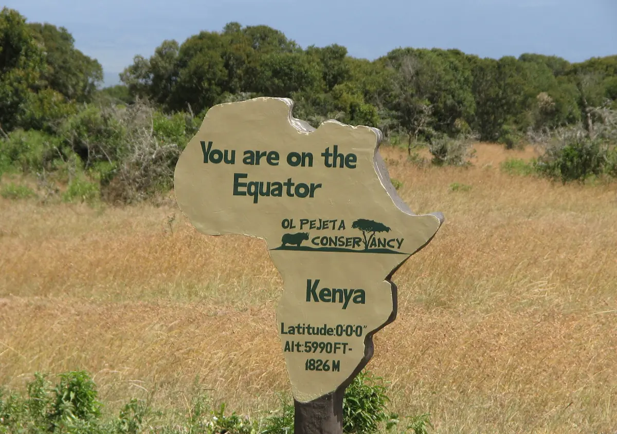 Africa-shaped wooden sign marking the equator in golden grass