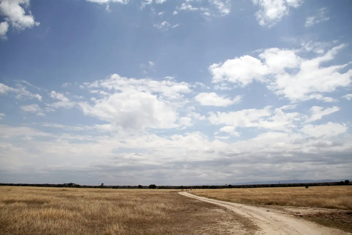 Onverhard pad door droge open vlaktes onder een uitgestrekte blauwe hemel met wolken